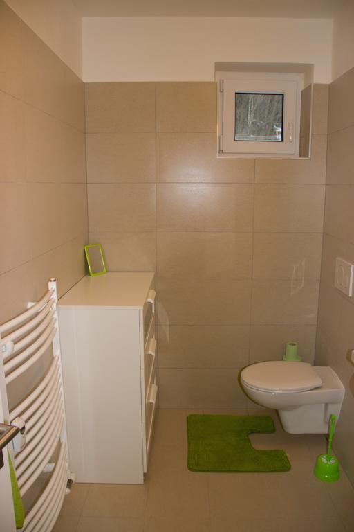 Apartman V Zeleni Dolni Morava Bilik gambar